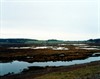 Guy Moreton, "Dingle Marsh Dunwich", c-print, 132cm x 105cm, 2007