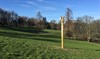 Elpida Hadzi-Vasileva, 'Rapture', wood and gold leaf, installation view, Nymans, National Trust, 2016